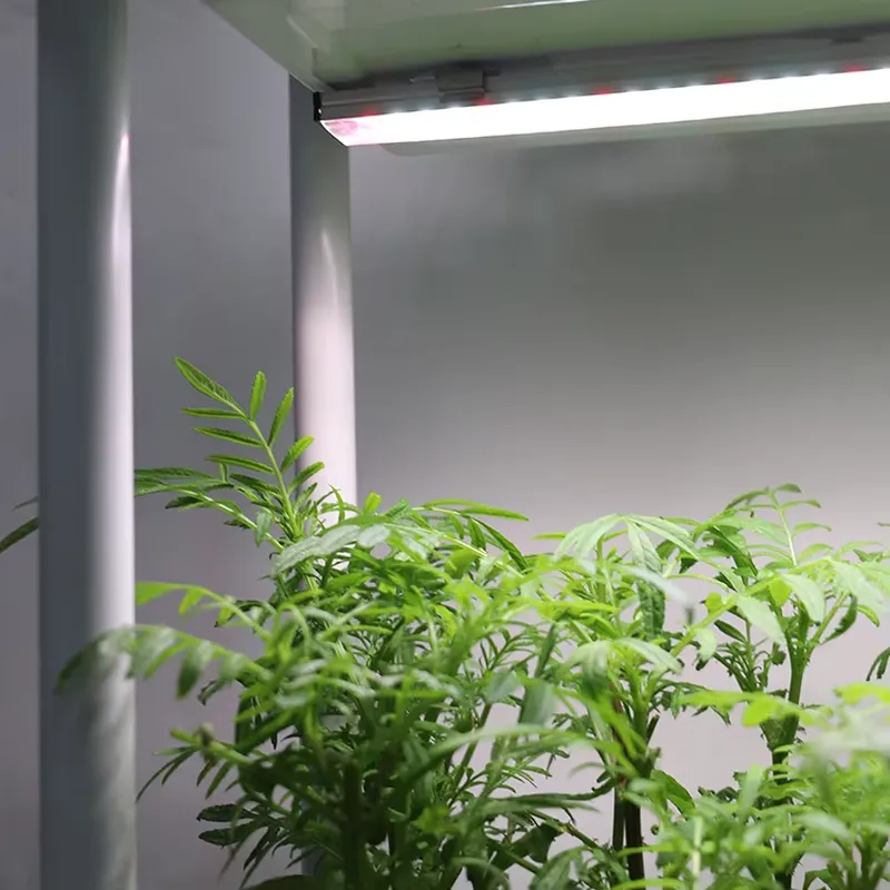 Smart Garden Vertical Planter - Beweglicher Vertikaler 3-Ebenen-Gartenbehälter mit Selbstbewässerung und