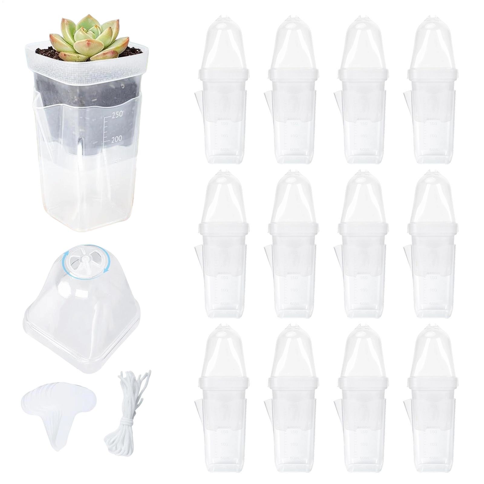 Smart Garden Domes - Selbstbewässernde Pflanzentöpfe, 12 Stück, transparente Anzuchttopf-Sets,