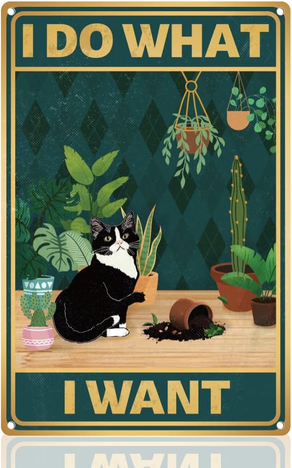 Y1, Niedliches Katzen-Schild „ – Smart Garden In Home Bewertung und Preis