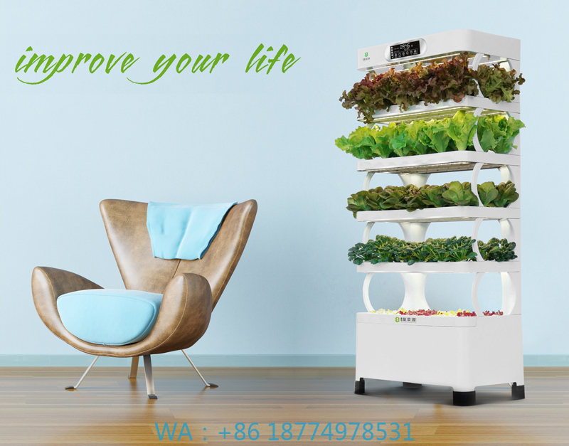 und vertikales Gewächshaus, ko – Smart Garden Vertical Planter Bewertung und Preis