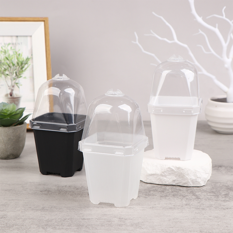 5 Stück quadratischer kleiner  – Smart Garden Domes Bewertung und Preis