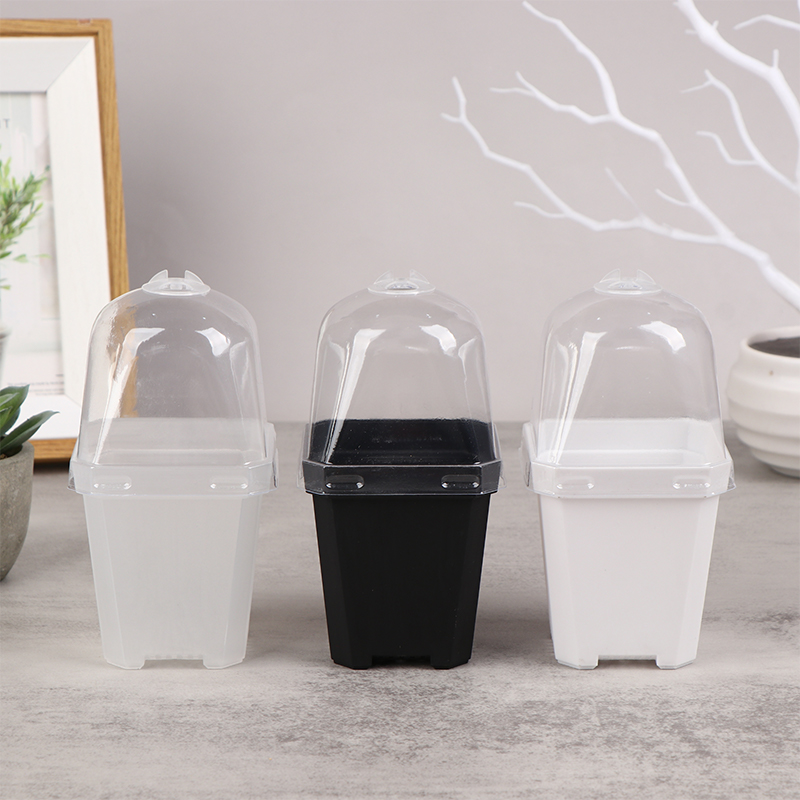 5 Stück quadratischer kleiner  – Smart Garden Domes Bewertung und Preis