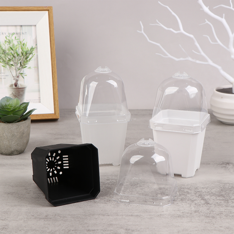 5 Stück quadratischer kleiner  – Smart Garden Domes Bewertung und Preis