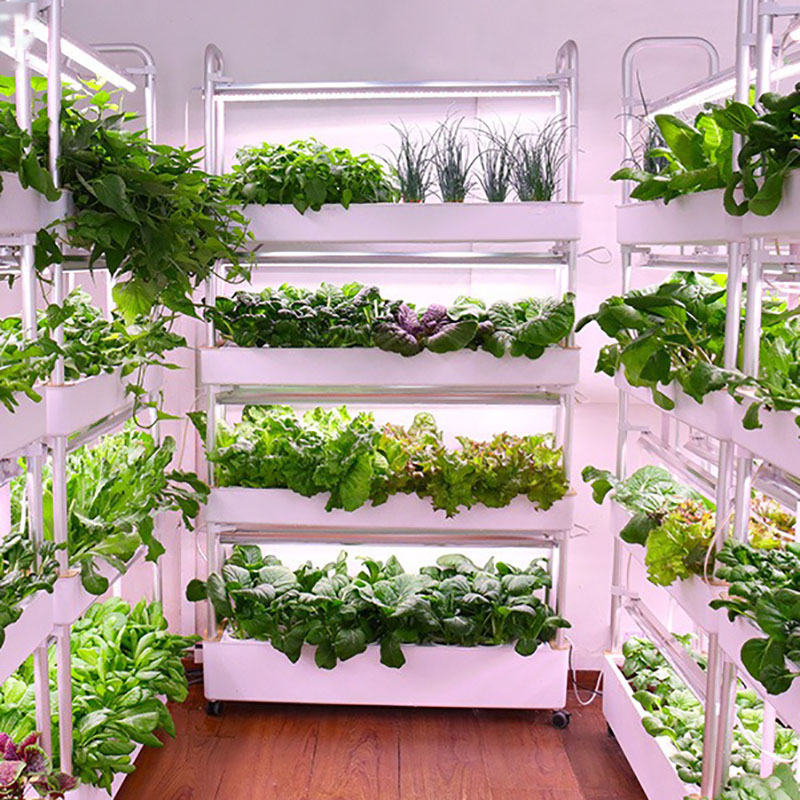 Hydrokultur-Anbausystem, verti – Smart Garden Vertical Planter Bewertung und Preis