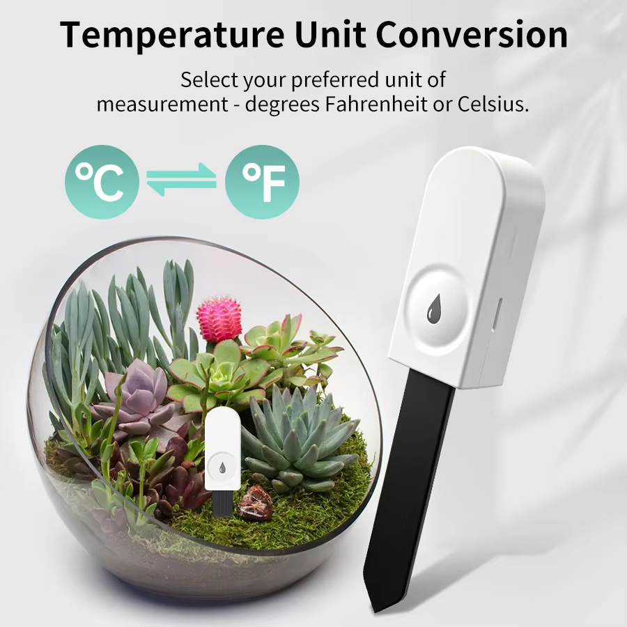 Zigbee Bodenfeuchte-Detektor L – Smart Garden Domes Bewertung und Preis