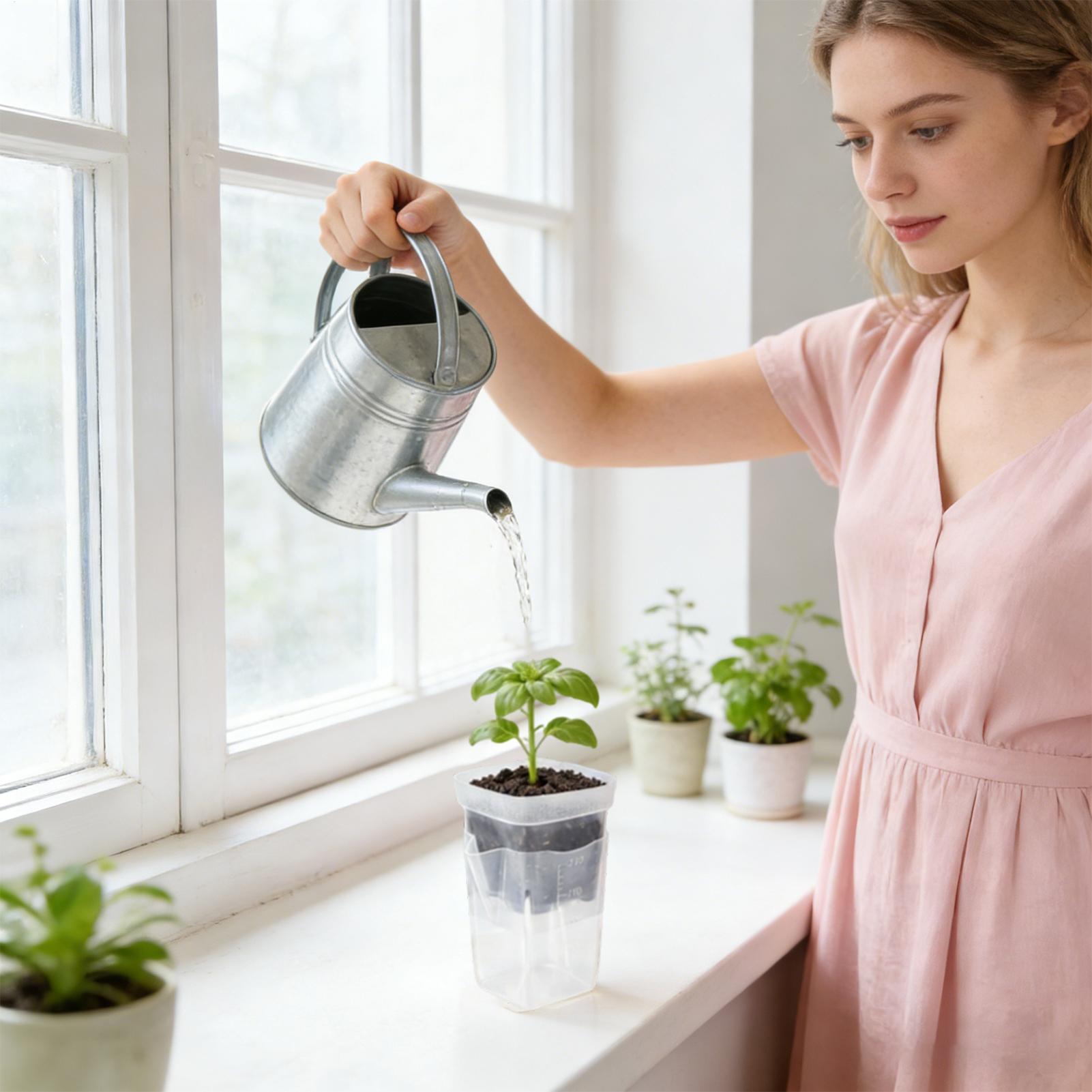 Selbstbewässernde Pflanzentöpf – Smart Garden Domes Bewertung und Preis