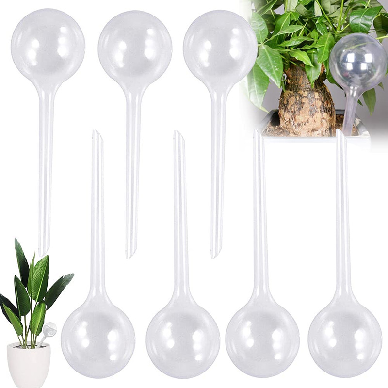5/10PCS Automatische Pflanzen  – Smart Garden Project Bewertung und Preis